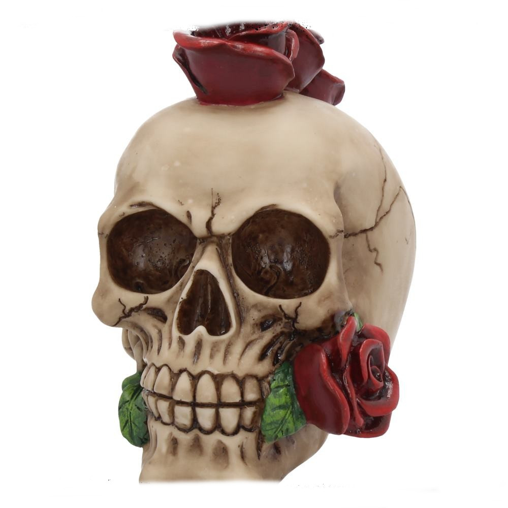 Nemesis Now - Rosehawk Figurine - Crâne - Multicolore